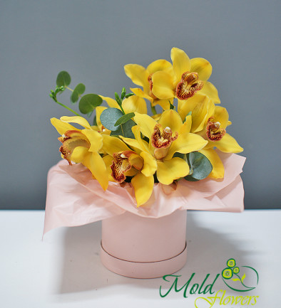 Box with yellow orchids photo 394x433